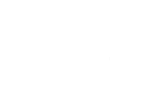 LSG